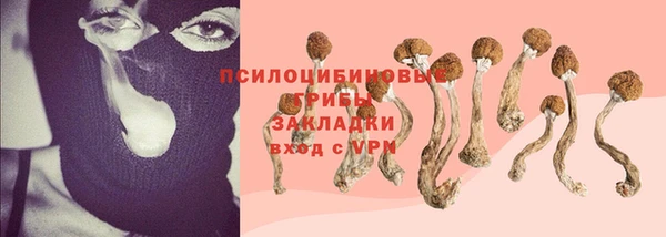 не бодяженный Аркадак
